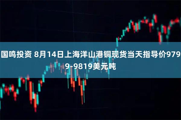 国鸣投资 8月14日上海洋山港铜现货当天指导价9799-9819美元吨
